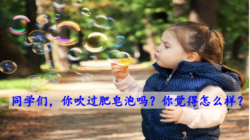 部编版新教材三年级下册语文20肥皂泡 (共29张PPT)人教部编版课件