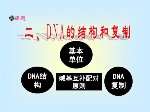 人教版教学课件人教必修二DNA分子的结构课件