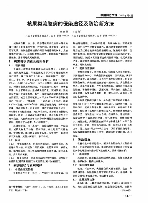 核果类流胶病的侵染途径及防治新方法