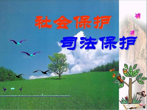 社会保护,司法保护PPT课件 教科版(22张)