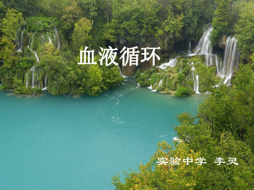 北师大版生物七下9.2《血液循环》(第2课时)(共25张PPT)