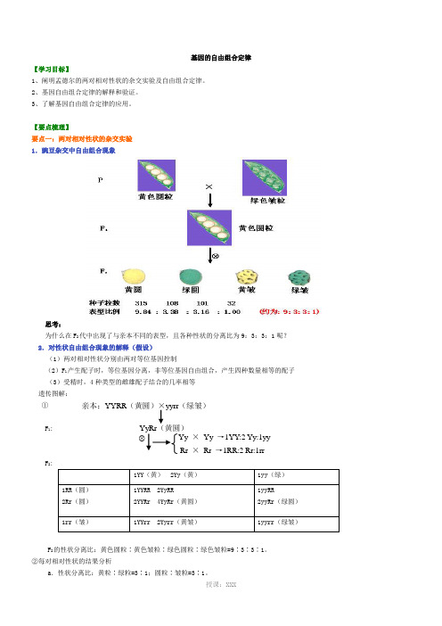 基因的自由组合定律知识讲解