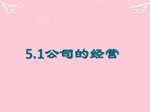 高中政治 第五课第一框公司的经营课件 新人教版必修1