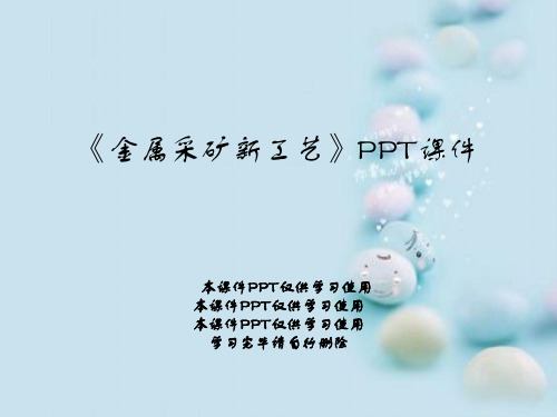 《金属采矿新工艺》PPT课件