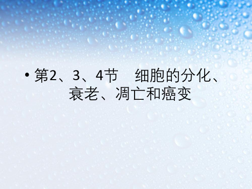 高考生物第一轮复习专题—生物细胞的分化、衰老、凋亡和癌变