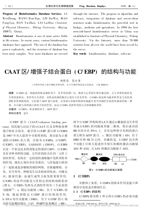 CAAT区_增强子结合蛋白_C_EBP_的结构与功能