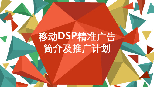 DSP精准广告简介及推广计划方案实用PPT(23页)