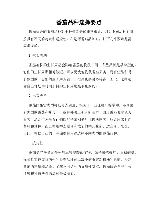 番茄品种选择要点