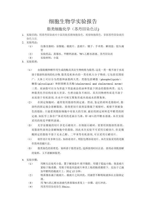 脂肪鉴定 脂类细胞化学(苏丹Ⅲ染色法) 实验报告
