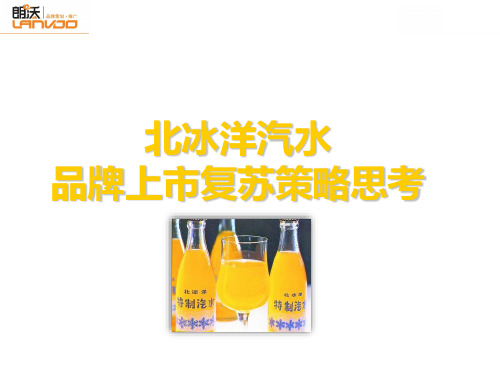北冰洋汽水策略大纲丰富版