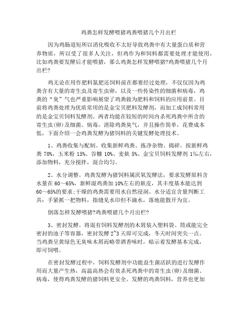 鸡粪怎样发酵喂猪鸡粪喂猪几个月出栏