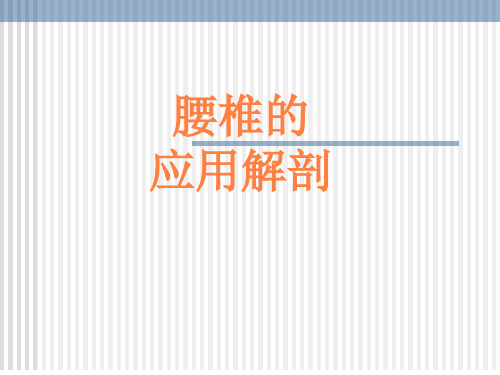 腰椎解剖应用PPT课件