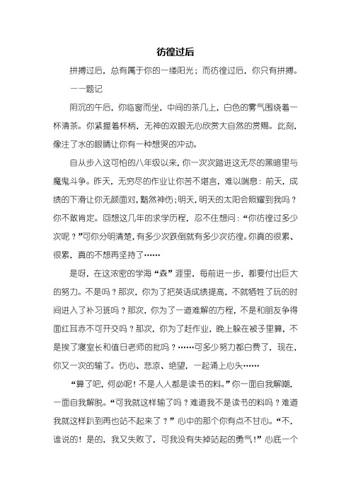 初二作文：彷徨过后作文600字