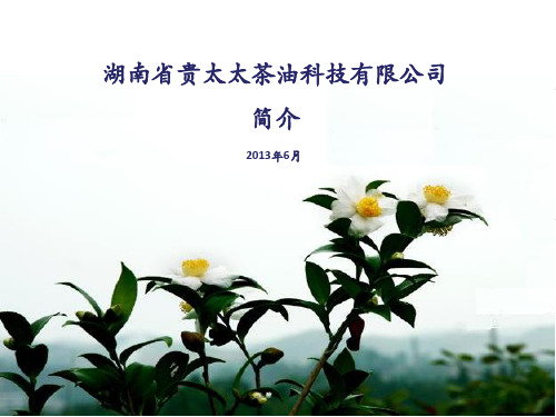 贵太太简介(20130606)
