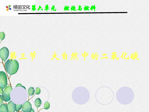 《大自然中的二氧化碳》课件 (市优)2022年九年级化学课件