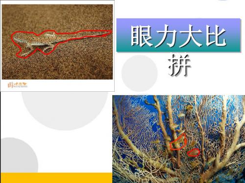生物对环境的适应和影响 PPT课件25 北京版