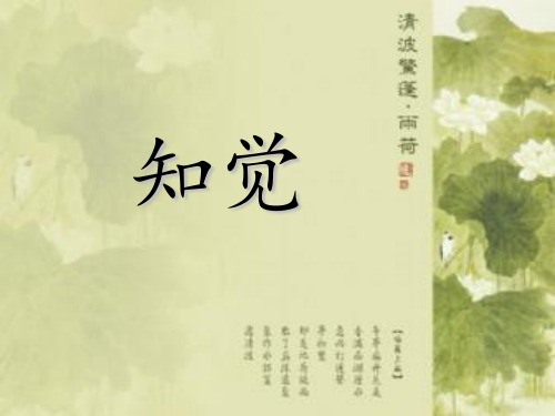 组织行为学知觉