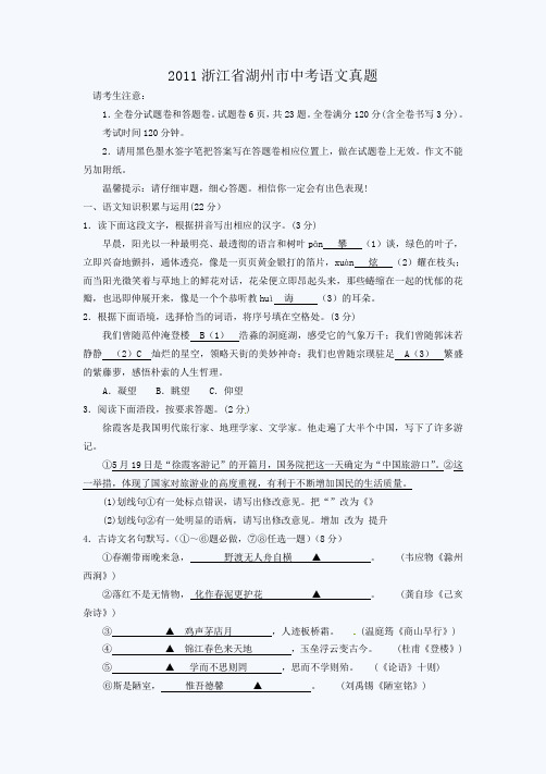2011浙江省湖州市中考语文真题