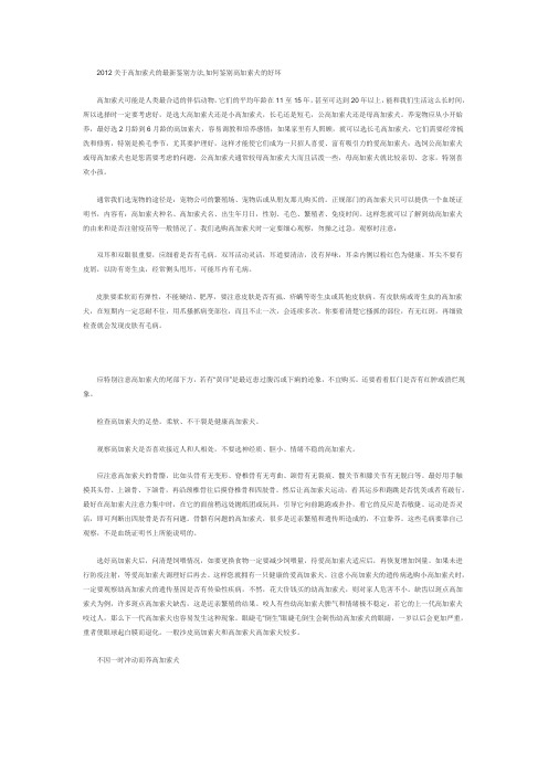 关于高加索犬的最新鉴别方法,如何鉴别高加索犬的好坏