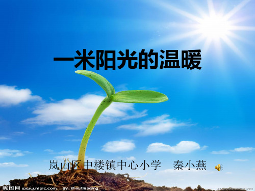 一米阳光的温暖PPT课件