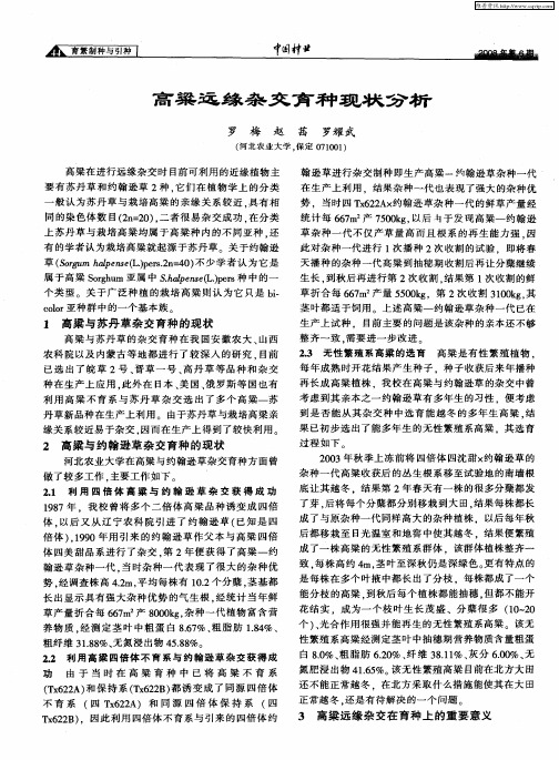 高粱远缘杂交育种现状分析