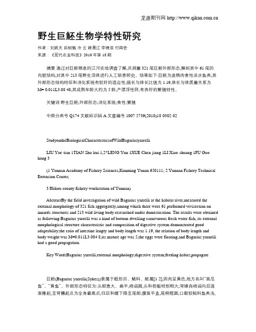 野生巨魾生物学特性研究