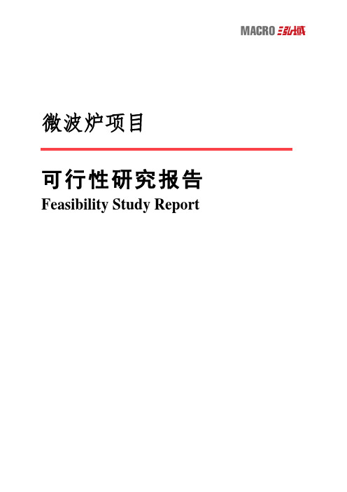 微波炉项目可行性研究报告