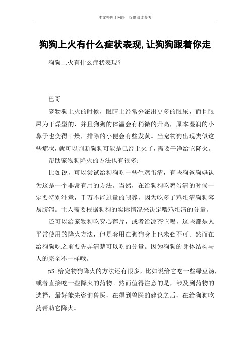 狗狗上火有什么症状表现,让狗狗跟着你走