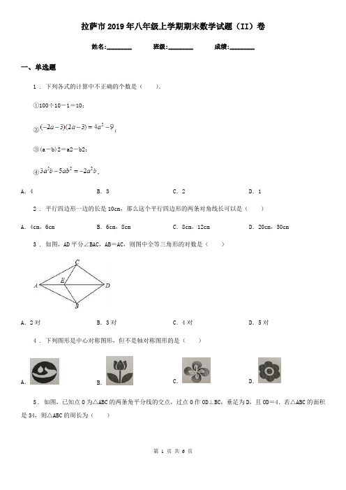 拉萨市2019年八年级上学期期末数学试题(II)卷