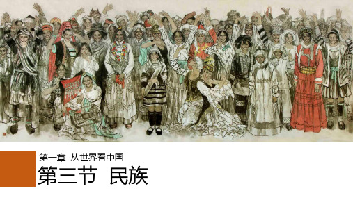 人教版八年级上册第一章第三节民族