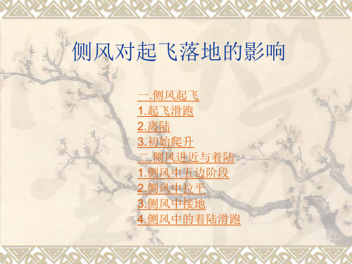 1侧风对起飞落地的影响