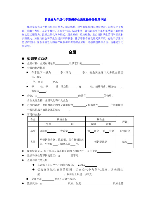 新课标九年级化学寒假作业强效提升分数精华版 (11)