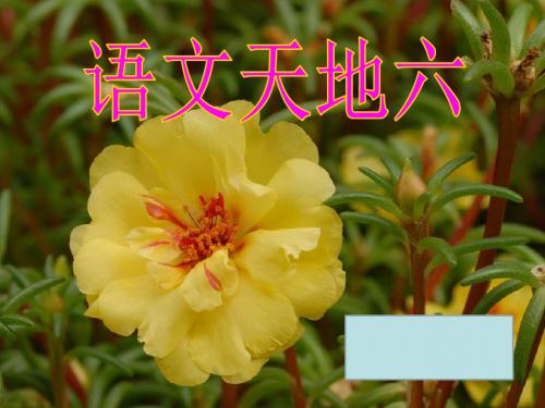 四年级下册语文语文天地(六)北师大版 (4)