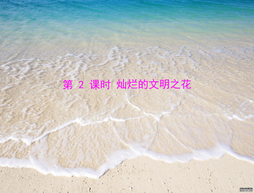 灿烂的文明之花PPT教学课件