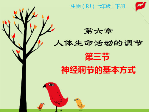 七年级上册生物教学课件第三节 神经调节的基本方式