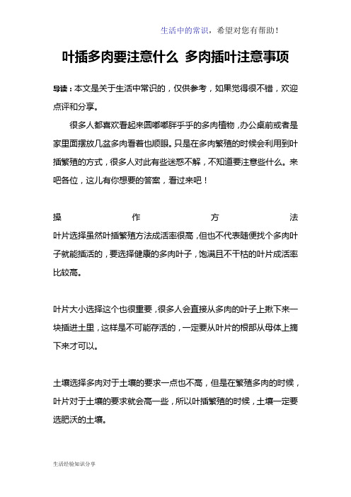 叶插多肉要注意什么 多肉插叶注意事项