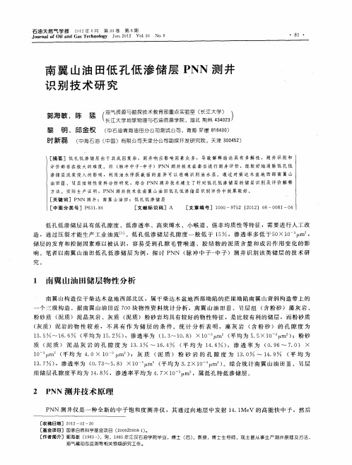 南翼山油田低孔低渗储层PNN测井识别技术研究