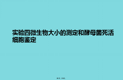 实验四微生物大小的测定和酵母菌死活细胞鉴定(详细介绍“目尺”共9张)