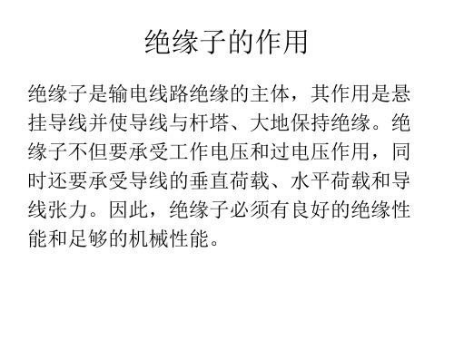 绝缘子