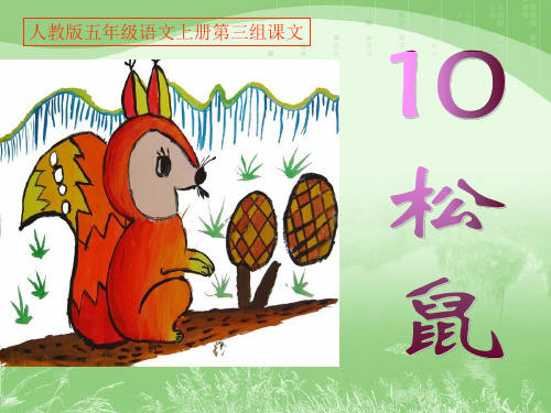 人教版五年级语文上册第三组《10松鼠》(开课专用)PPT课件