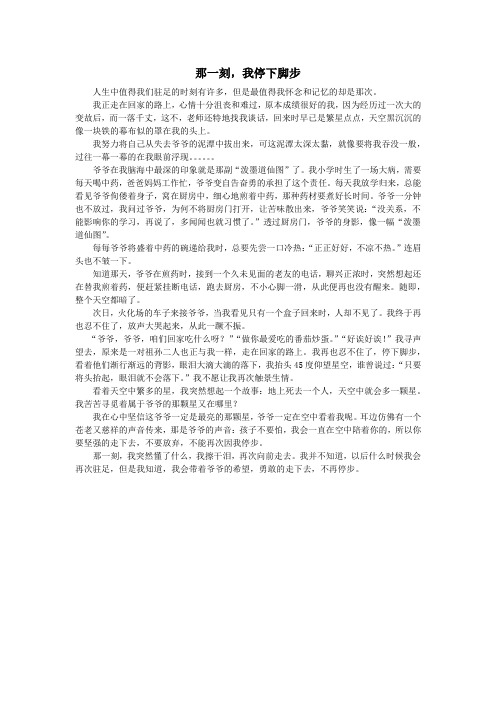 初中作文——话题《那一刻,我停下了脚步》 (11)