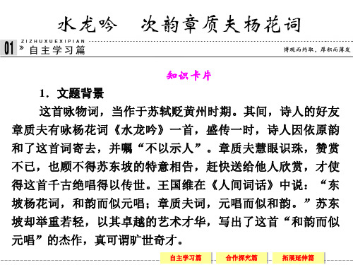 名师精编--《水龙吟》课件(波苏教版选修《唐诗宋词选读》)(1)