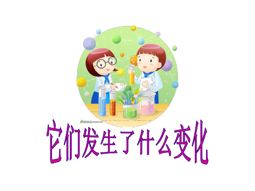 三年级上册科学课件1.8 它们发生了什么变化教科版 (共15张PPT)