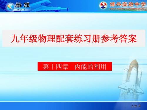 人教版初中物理配套练习册参考答案第十四章