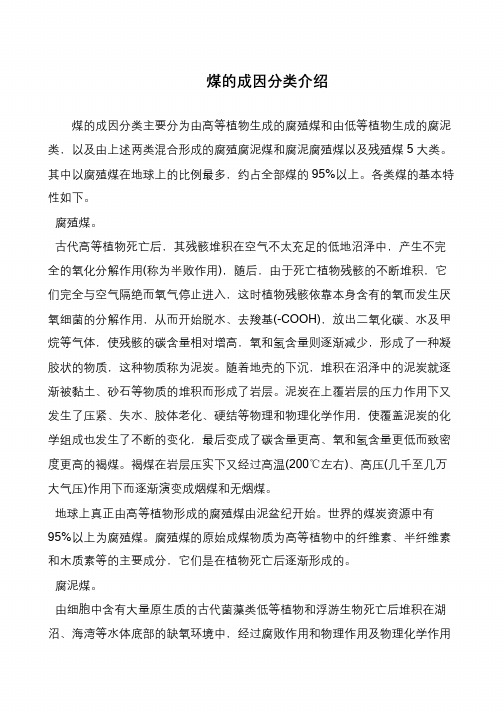 煤的成因分类介绍