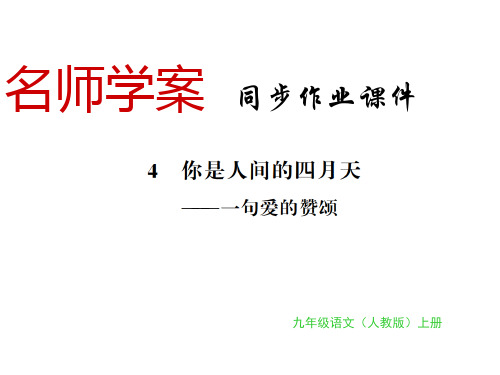 秋九年级语文上册人教部编版(黔东南专用)习题课件：第4课(共11张PPT)