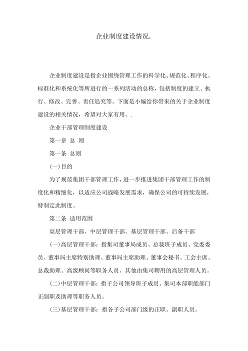 企业制度建设情况
