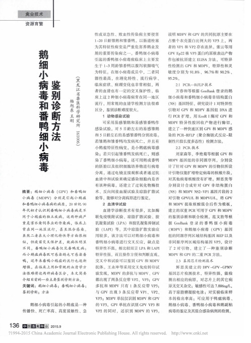 鹅细小病毒和番鸭细小病毒鉴别诊断方法_杨旭东