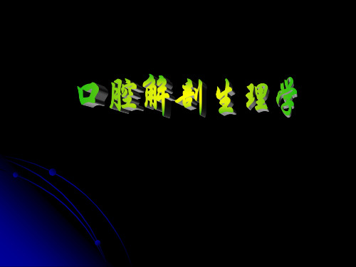 口腔解剖生理学PPT课件