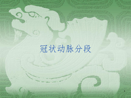 冠状动脉分段PPT精选文档